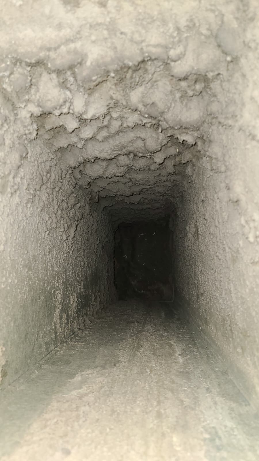 Mold Treatment